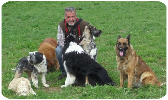 Thorsten Funk sitzt auf der Wiese und streichelt einen Harzer Fuchs weitere fünf Hunde sitzen und stehen neben ihm